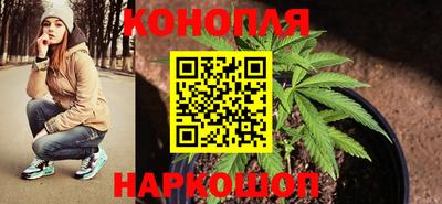 сатива Рыбинск