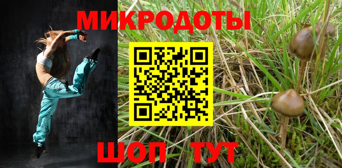 Галлюциногенные грибы Psilocybine cubensis Рассказово